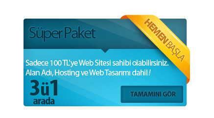 100 tl ye web tasarımı