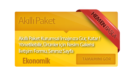 ekonomik web tasarım