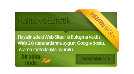 profesyonel web tasarım