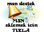 web tasarımı msn destek